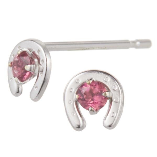 sAX K10WG zCgS[h sNg} n z[XV[ ꗱ ɏ ڗȂ 10 a Vv { 