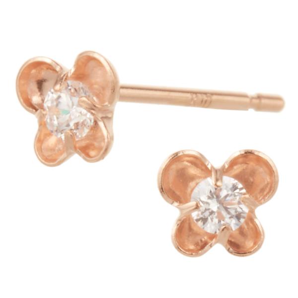 sAX K10PG L[rbNWRjA ~j  t[  Ԃ ɏ ڗȂ Vv { 