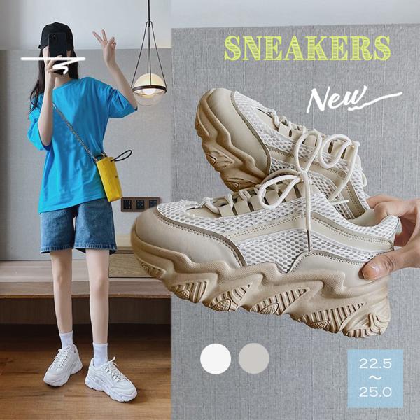 Xj[J[ fB[X tďH  RC [Jbg _bhXj[J[  bV ɂ  