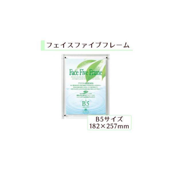 A.P.J フェイスファイブフレーム B5(182×257mm)対応 クリア 0030736671
