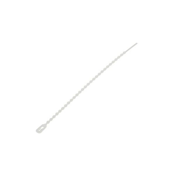 YAZAWA�@�r�[�Y���˂�o���h 120mm �� 30�{���@FTB120W30