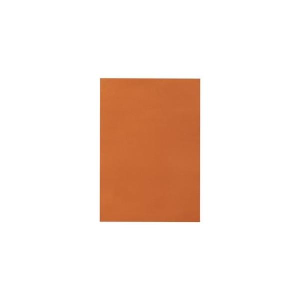 i܂Ƃ߁j TANOSEE Fp l Ⴂ 1pbNi10j k×15Zbgl