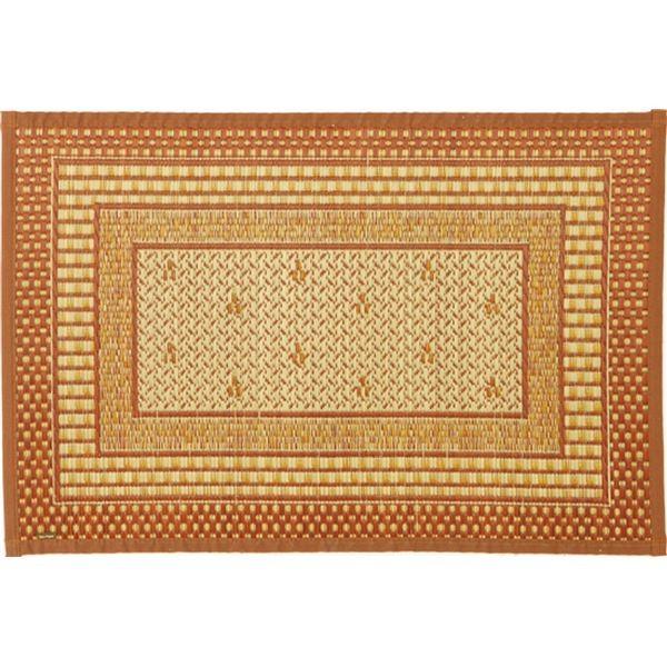 Y  փ}bg 60×90cm uE { F100 ɂH \ G[h rO L