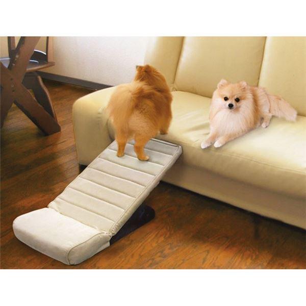 スロープ 犬用ペットグッズの人気商品 通販 価格比較 価格 Com