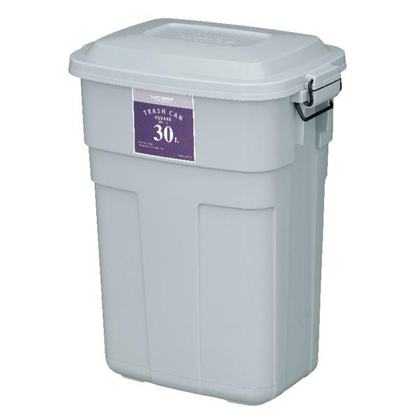 岩崎工業 トラッシュカン 30L グレー L-941 : 家具プラザ - 通販