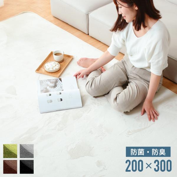 KAGUWORLD マイクロファイバーラグ 200×300cm 4畳 敷物 ホット