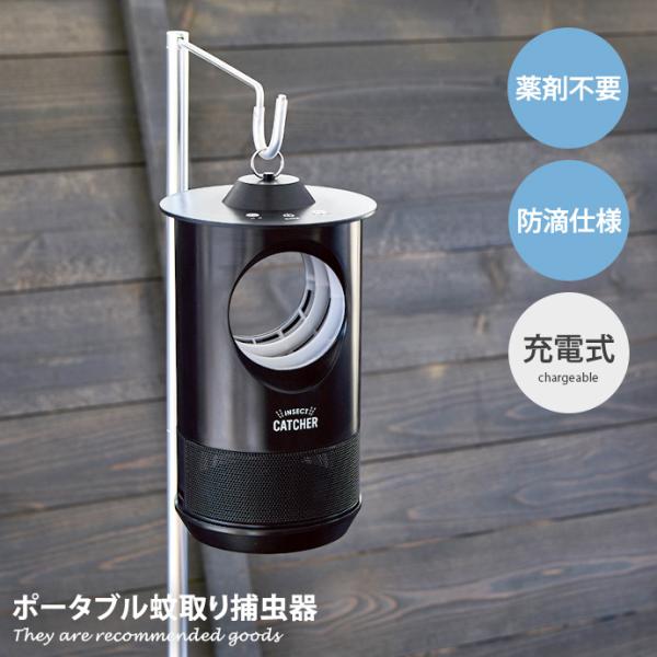 kagu350_g37278