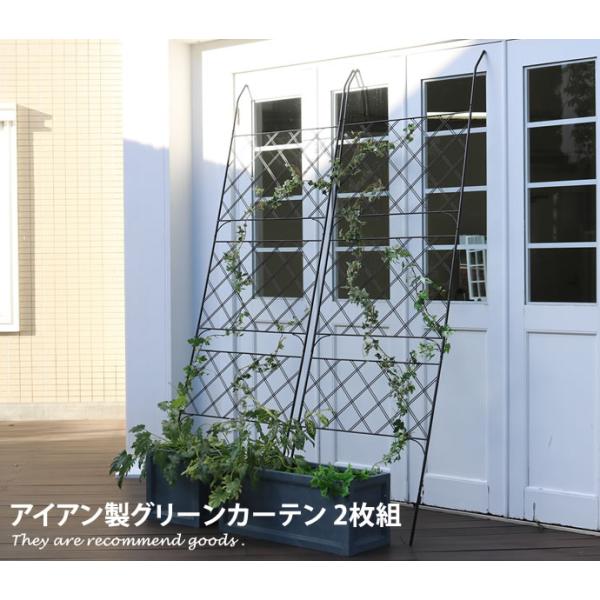 ゴーヤ フェンスの人気商品 通販 価格比較 価格 Com