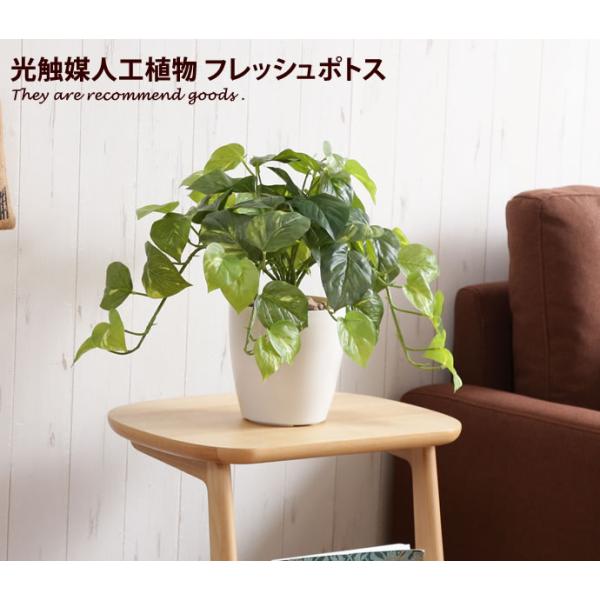 ■サイズ：直径約45cm×高さ36cm■材質：葉:ポリエステル幹:ポリエチレン鉢:ポリプロピレン■脚部：■組立区分：組立なし■お届け：通常2〜5営業日で発送となります■備考：【梱包サイズ】幅25cm×奥行25cm×高さ50cm【商品重量】850g