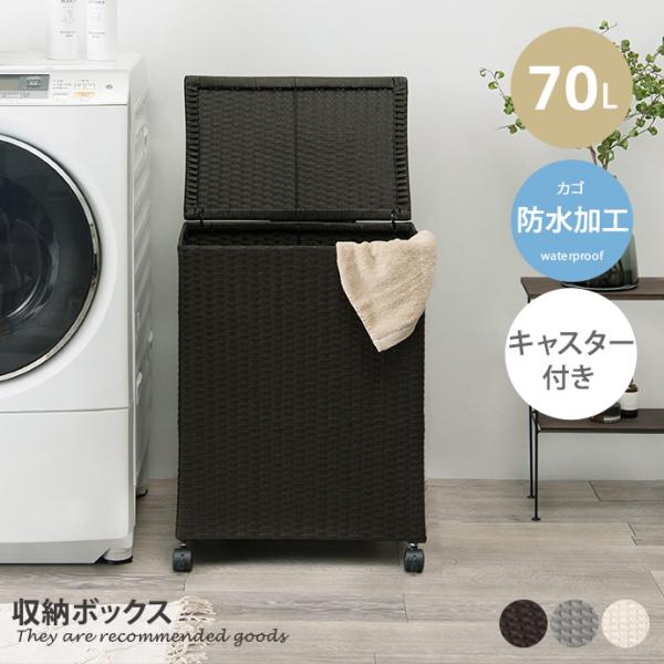 kagu350_g78404
