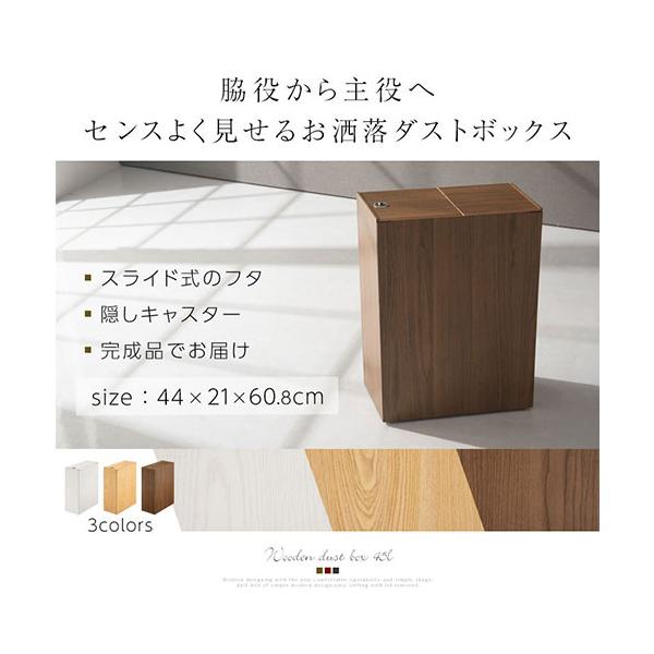 ゴミ箱 おしゃれ 予約販売品 ダストボックス スリム トラッシュボックス 分別 45lゴミ袋対応 生活雑貨 組み立て不要 幅21cm 角型 完成品 縦型