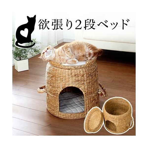 ペット用ベッド コージーホーム 犬ベッド 猫ベッド ちぐら 2段ベッド 犬ハウス kagudoki_aku1006730