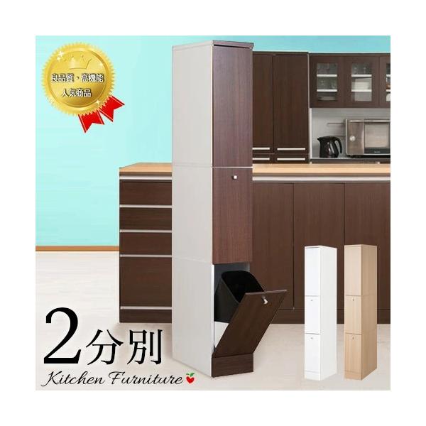 ダストボックス/蓋付きゴミ箱 【2分別】 幅55cm ブラウン 【完成品】 ゴミ箱 幅25cm 台所 キッチン ごみ箱 ダストボックス 2分別