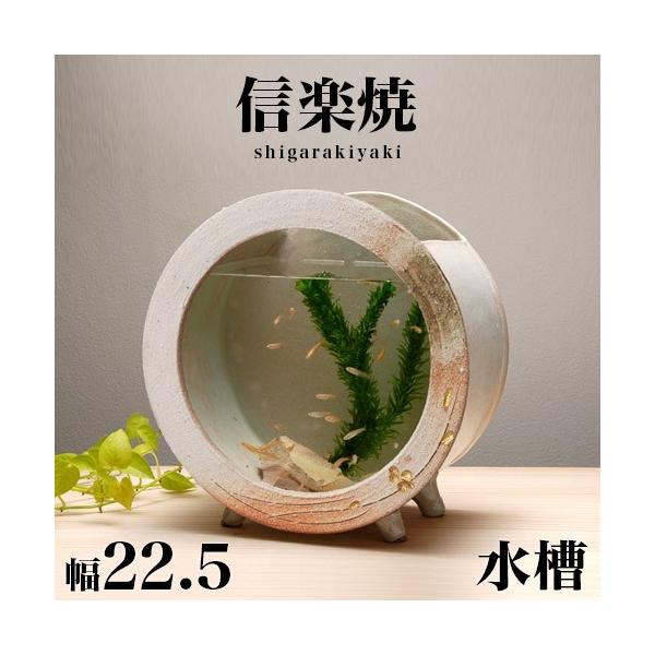   MyĂ  ʊ() 22.5 23  NHK My h My ANAE a  퐻 炫