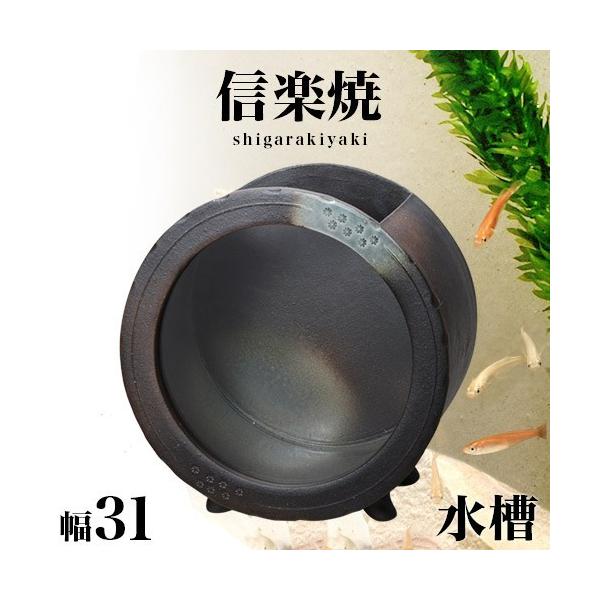   MyĂ  ֊() 31 33  NHK My h My ANAE a  ֊ې  炫