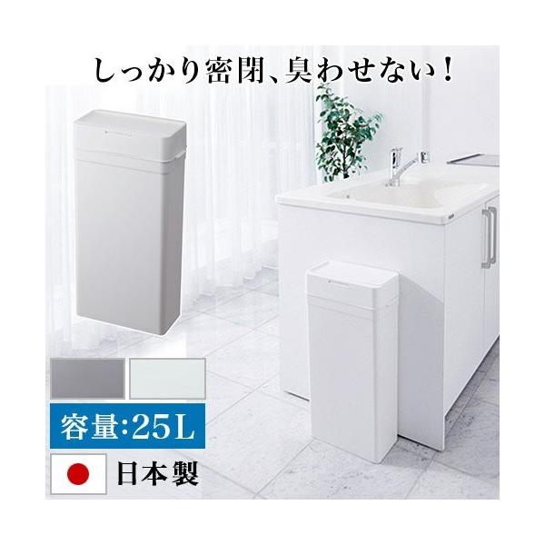 S~ ӂt  pbL  Lb` X ݔ _Xg{bNX  25L 33.7cm  Ȃ pbLt W