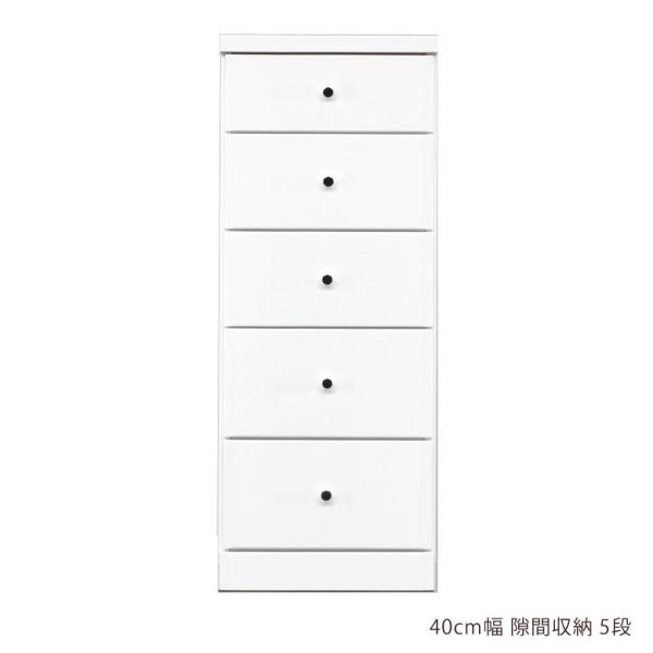 `FXg ^X nCԎ[ XԉƋ RpNg X 40cm 5i o[