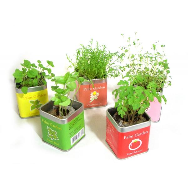 ベスト50 おしゃれ 家庭 菜園 全イラスト集