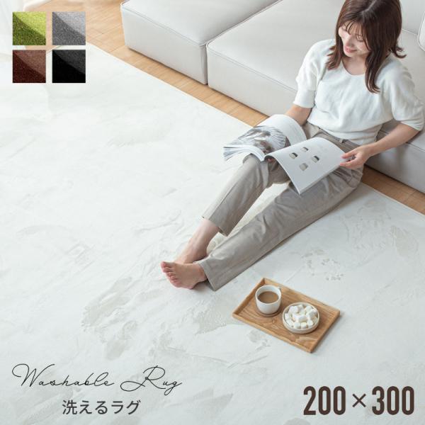 KAGUWORLD マイクロファイバー ラグ 200×300cm 4畳 敷物 ホット