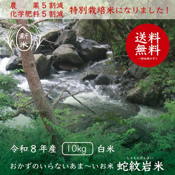 コシヒカリ 【令和7年産】【送料無料】【白米】兵庫県たじま養父産 
