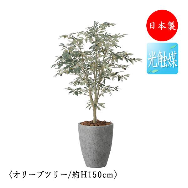 フェイクグリーン オリーブ オリーブツリー オフィスグリーン 光触媒