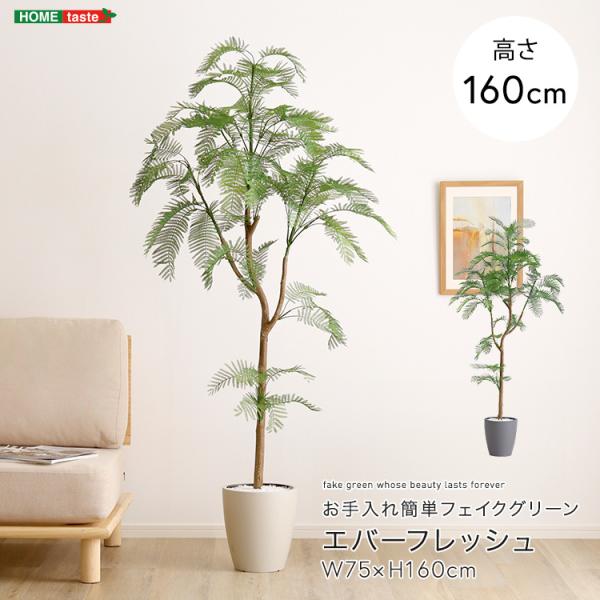 エバーフレッシュ フェイクグリーン 高さ160cm 観葉植物 フェイク 大型