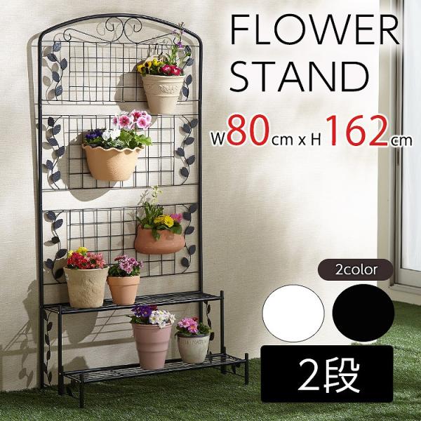 kaguwashiki_3423000409