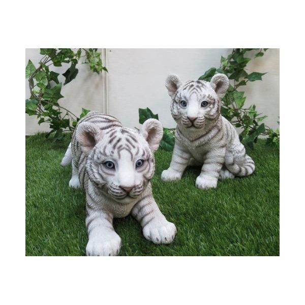 kaguwashiki_whitetiger kaguwashiki_whitetiger