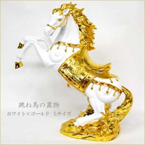 kaguya-hime374_is1041-sz62-whgd kaguya-hime374_is1041-sz62-whgd