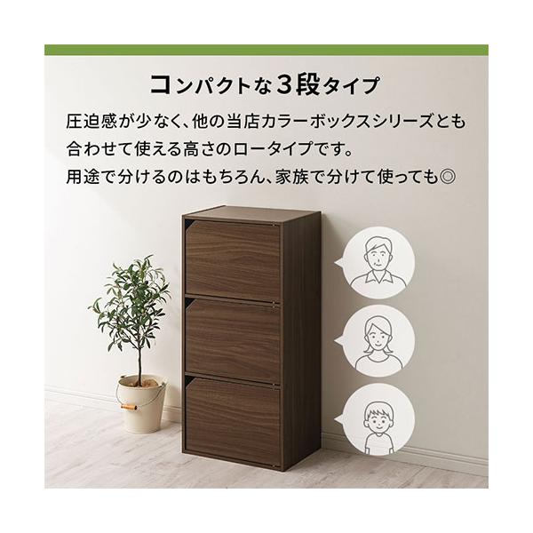 �J���[�{�b�N�X 3�i ���t�� �ؐ� ���[�I ���r���O �G�� ���� ���[ ���[�^�C�v �� ��40 ���s30cm ����90cm �����[ CD DVD ���� �G�{ �R�~�b�N �����I ���i�摜5