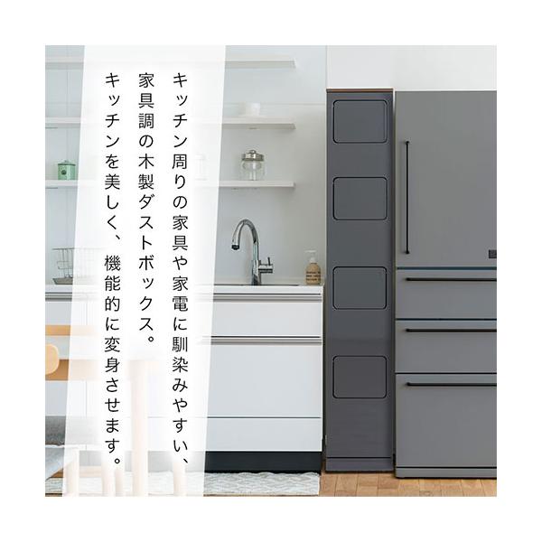 ゴミ箱 45リットル おしゃれ ダストボックス 分別 キッチン キ