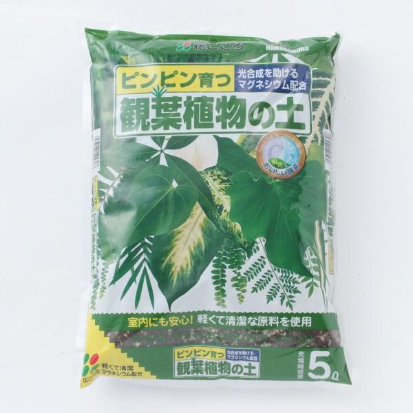 単品 （株）花ごころ 観葉植物の土 ５Ｌ