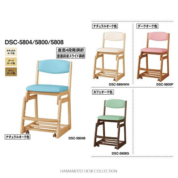 y󒍐YzwK`FA l{H| DSC-5800 ؐ`FA