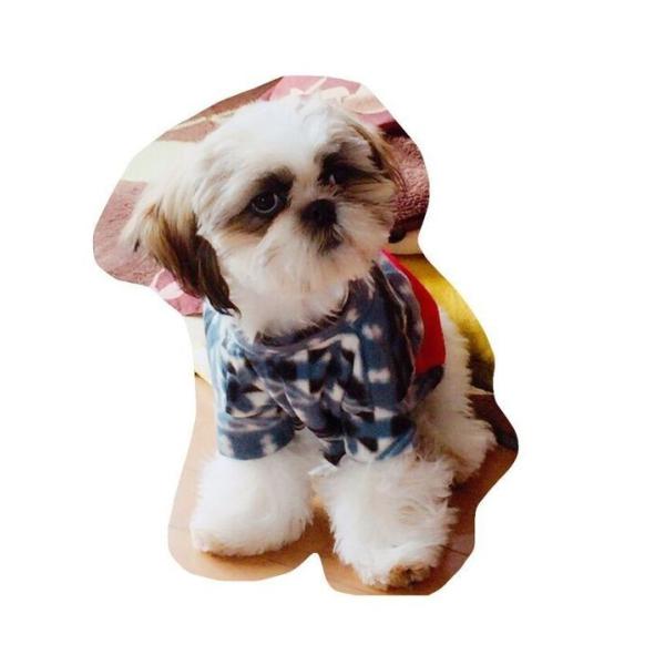 ^  t[X lCr[u[×bh hbOEFA