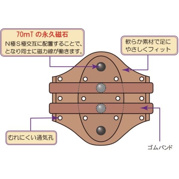 磁気健康足心サポーター ピンピン 富士パックス H725 Www Verifiedlocalpros Com