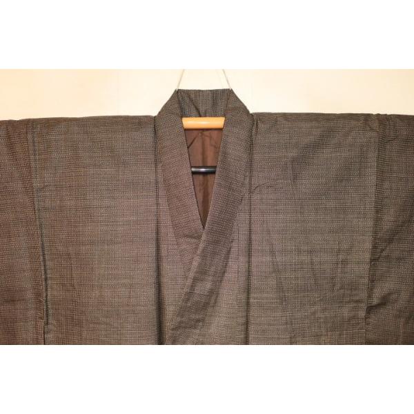 kaichu-shop_8769