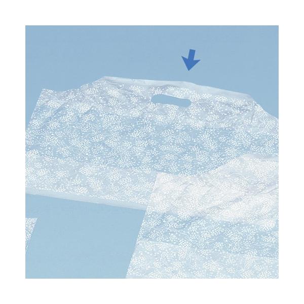 P[L A  TChobN() m1u[P Ɩp eCNAEg  500