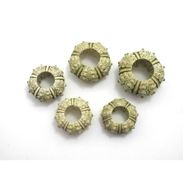 ストーンウーチン 約2 3ｃｍ 5個入 貝 ウニ ウニ殻 ランプ ｌｅｄ エアープランツ ハンドメイド Uni6 貝殻の問屋さん ホームテリア 通販 Yahoo ショッピング