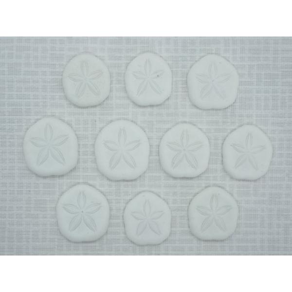 サンドドラー 約3 4ｃｍ 10個入 貝 ウニ ウニ殻 ランプ ｌｅｄ エアープランツ ハンドメイド Buyee Buyee Jasa Perwakilan Pembelian Barang Online Di Jepang