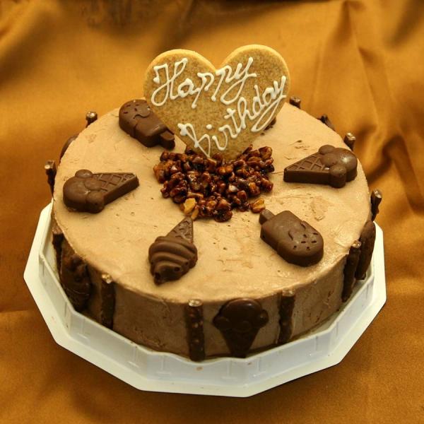 チョコレートアイスケーキ6号　お誕生日アイスケーキ