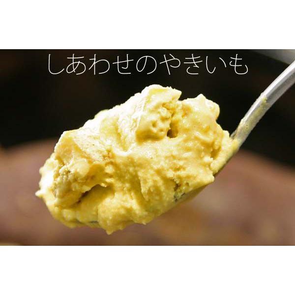 �A�C�X�N���[�� �Ɩ��p �����킹�̂₫���� 2L ���i�摜1