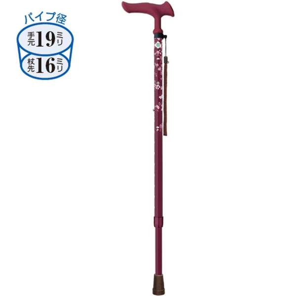 邪t@2 Lk 66.5`89cm gF130`174cm