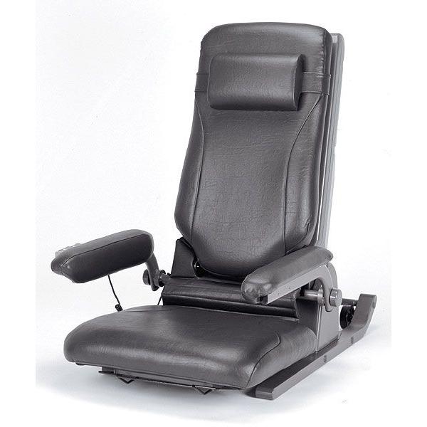 d~֎q オ⏕֎q Ɨ錾 NCjO