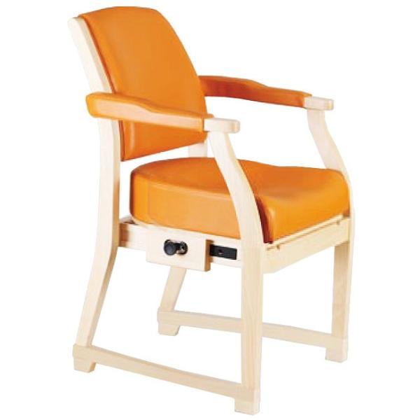 ʂ̍Ɖs\ X|bƃ`FA ҎpێT|[g֎q