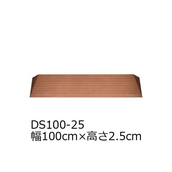 i_CX[v 100×2.5cm@DS100-25 ׂ~