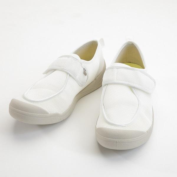 V[Y@zXs^V[Y@2510@@zCg@3LTCY@ YƁ@C nrV[Y p