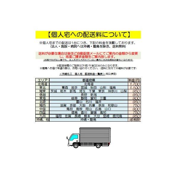 注目の新発売 送料無料 沖縄 北海道 一部地域を除く 矢崎化工たちあっぷcka 06 ベッド手すり 転倒予防 手摺 補助手すり 介護用 手すり新作人気