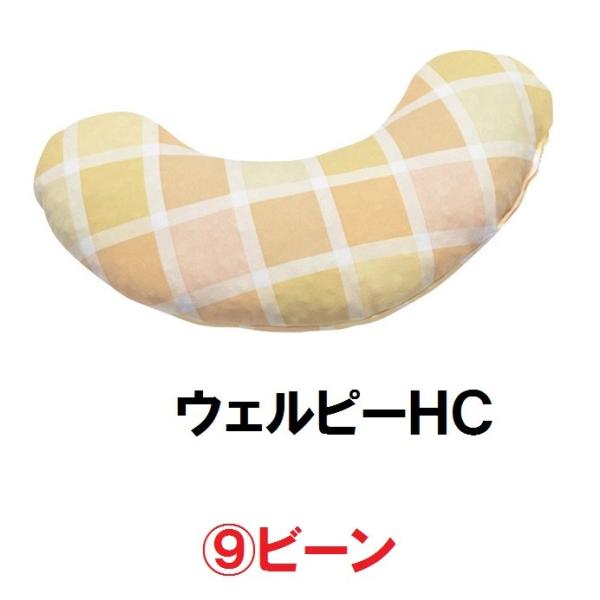 EFs[HC@PC-HC-B3@r[@^CJ@̈ʕێ ϊ ̈U  |WVjO s ʋC @161-o0270