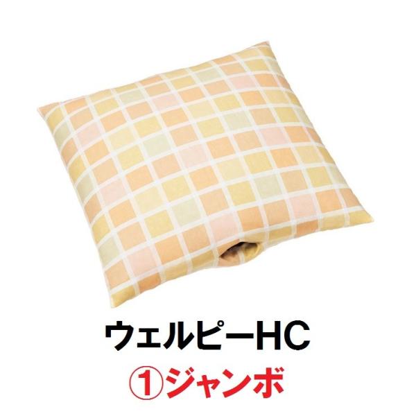 EFs[HC@W{@PC-HC-J1@^CJ@̈ʕێ ϊ ̈U  |WVjO s ʋC @161-o0270