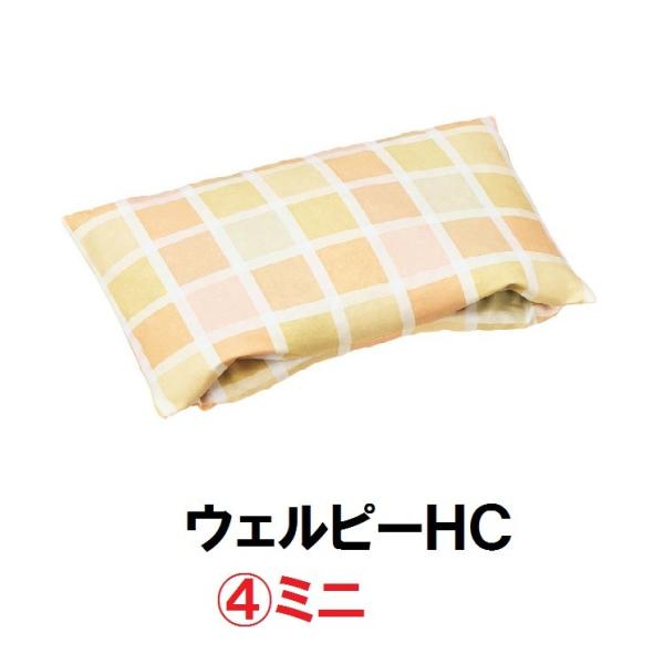 EFs[HC ~j PC-HC-M1 ^CJ ̈ʕێ ϊ ̈U  |WVjO s ʋC  NbV@161-o0270